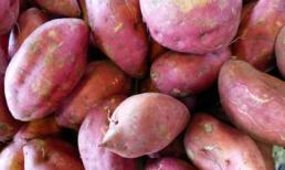 Lý do chính đáng để ăn nhiều khoai lang hơn mỗi ngày