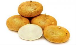 Củ đậu vừa rẻ tiền vừa tốt cho sức khỏe