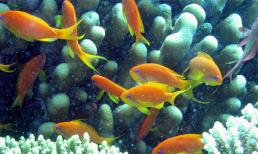 10 kiêng kỵ năm mới để đón lộc vào nhà