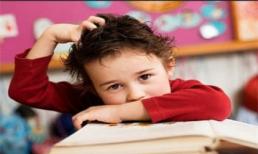 Bí quyết trị chấy rận cho trẻ không cần dùng hóa chất