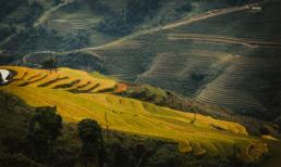 Ngắm vẻ đẹp mê hoặc của cao nguyên đá Đồng Văn