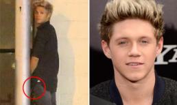 Thành viên nhóm nhạc đình đám One Direction đi vệ sinh 'bậy' trên phố