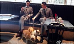 Cặp đôi Thượng Ẩn 'tái hợp' trong bộ ảnh mới