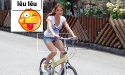 Bạn sẽ cười phá khi nhận ra sự thật bức ảnh