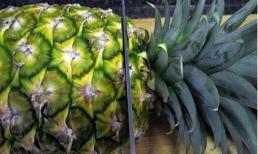 99% số người cắt bỏ ngọn quả dứa... sẽ hối hận khi thấy điều này