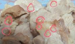 Mẹo hay nhận biết thịt lợn bệnh, lợn chứa giun sán