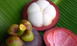 Lý do vì sao bạn nhất định không được vứt vỏ măng cụt