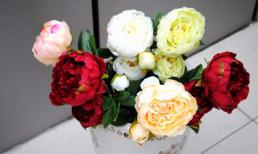 Ném khỏi nhà 3 thứ... để thoát năng lượng tiêu cực cho ngôi nhà