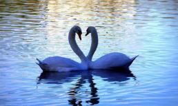 20 cách gửi lời yêu thương 'không đụng hàng' qua ảnh