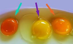 Cách nhận biết trứng gà tốt 