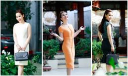 Nữ hoàng Kim Chi được bạn bè, đồng nghiệp ủng hộ ứng cử vào Quốc hội