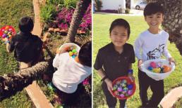 Con trai Kim Hiền thích thú đi nhặt trứng phục sinh