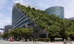 Các kiến trúc vườn trên nóc nhà độc đáo nhất thế giới