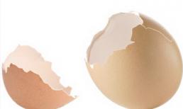 Bạn sẽ phải hối hận khi vứt bỏ vỏ trứng