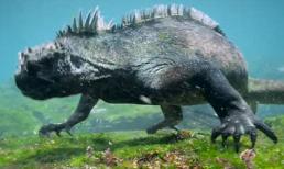 Phát hiện quái vật biển ở quần đảo Galapagos