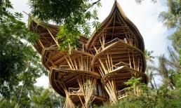 Ngôi nhà tre huyền diệu của người phụ nữ bỏ công xây dựng 6 năm
