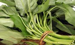 Mẹo nhận biết rau muống nhiễm chì để không đầu độc cả nhà