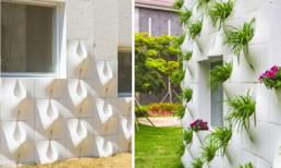 Mỗi khi mưa, bức tường biến thành thác hoa tuyệt đẹp