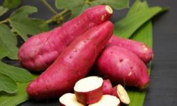 15 lý do tại sao khoai lang hoàn hảo cho bệnh nhân tiểu đường