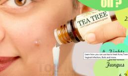 Dầu trà điều trị: mụn, nấm móng, gàu, viêm âm đạo nhiều hơn nữa