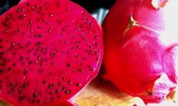 Thanh long - 'Thần dược' phòng ngừa ung thư tuyệt vời ít ai biết