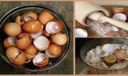 Nếu vất bỏ vỏ trứng, bạn sẽ tiếc hùi hụi khi biết tác dụng này