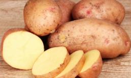 Thực phẩm tự nhiên có tác dụng thay kem chống nắng