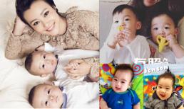 Những cặp song sinh nổi tiếng của sao Hoa ngữ