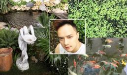 Vườn rau xanh mướt, ao đầy cá trong biệt thự triệu đô của Cao Thái Sơn