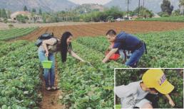 Gia đình Kim Hiền bình yên đi hái dâu ở Mỹ