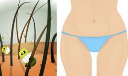 Cạo lông vùng kín: Cảnh báo tác dụng phụ khôn lường 