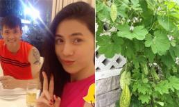 Vợ chồng Thủy Tiên - Công Vinh thưởng thức rau củ tự tay trồng được