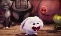 'The Secret Life of Pets' đại thắng, thu về 100 triệu USD tại Bắc Mỹ