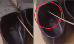 Clip cảnh báo mọi người trước khi xỏ giầy