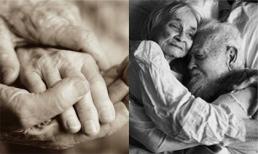 'Xin lỗi… tôi phải đi trước rồi… kiếp sau tôi vẫn nguyện làm… đôi mắt cho bà'