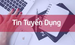 Tuyển dụng trưởng phòng kinh doanh