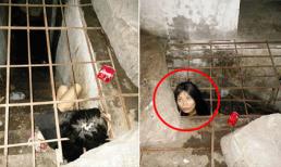 Rơi nước mắt trước cảnh cô gái bị chính bố đẻ nhốt trong lồng sắt dưới lòng đất