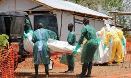 Căn bệnh nào giết chết nhiều người nhất trong lịch sử?