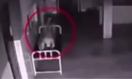 Clip hồn lìa khỏi xác gây xôn xao