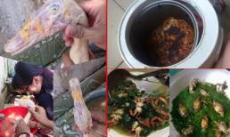 Những nàng dâu 'bá đạo' thời hiện đại