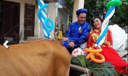 Chồng Tây rước cô dâu Việt về dinh bằng xe bò 