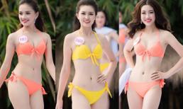 Người đẹp Hoa hậu Việt Nam khoe sắc vóc nóng bỏng cùng bikini