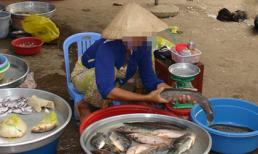 Vợ ở nhà tần tảo bán cá chờ chồng 10 năm, đến khi chồng mang 500 triệu về chỉ còn thấy chiếc quan tài