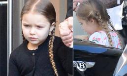 Bé Harper siêu đáng yêu với tóc bím đi chơi cùng bố