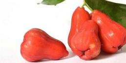 12 lợi ích của quả roi với sức khỏe và sắc đẹp