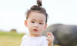 Con trai Diễm Hương thích thú thăm cánh đồng lúa cùng mẹ