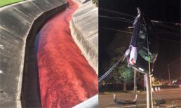 20 bức ảnh kỳ lạ chỉ có thể thốt lên: Wow!