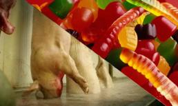 Sự thật kinh ngạc đằng sau những viên kẹo dẻo cho trẻ