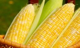 Muốn ngừa ung thư hiệu quả, hãy chăm ăn món này vào buổi sáng