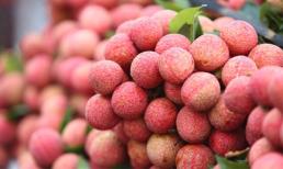 Sáu loại quả 100% thuần Việt, ăn thoải mái không dính độc